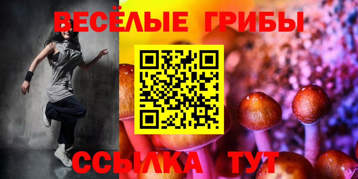 Гулькевичи  Псилоцибиновые грибы мухоморы  Вход с VPN 