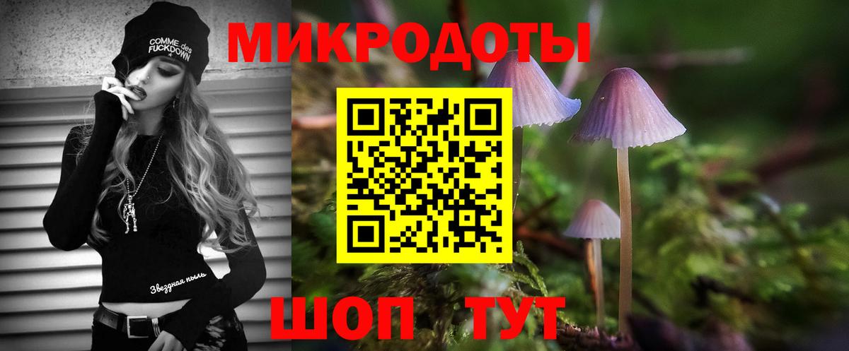 Галлюциногенные грибы Cubensis Гулькевичи